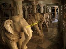 Dilwara Jain Temple Marble Elephants - Hotels in Mount Abu